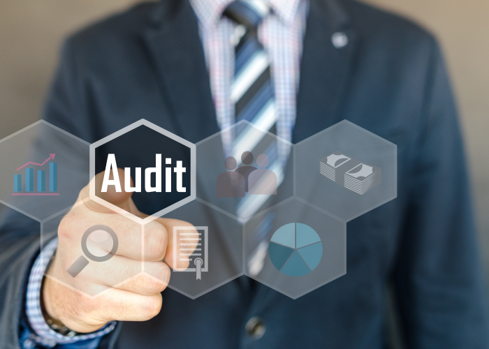 Auditing Services